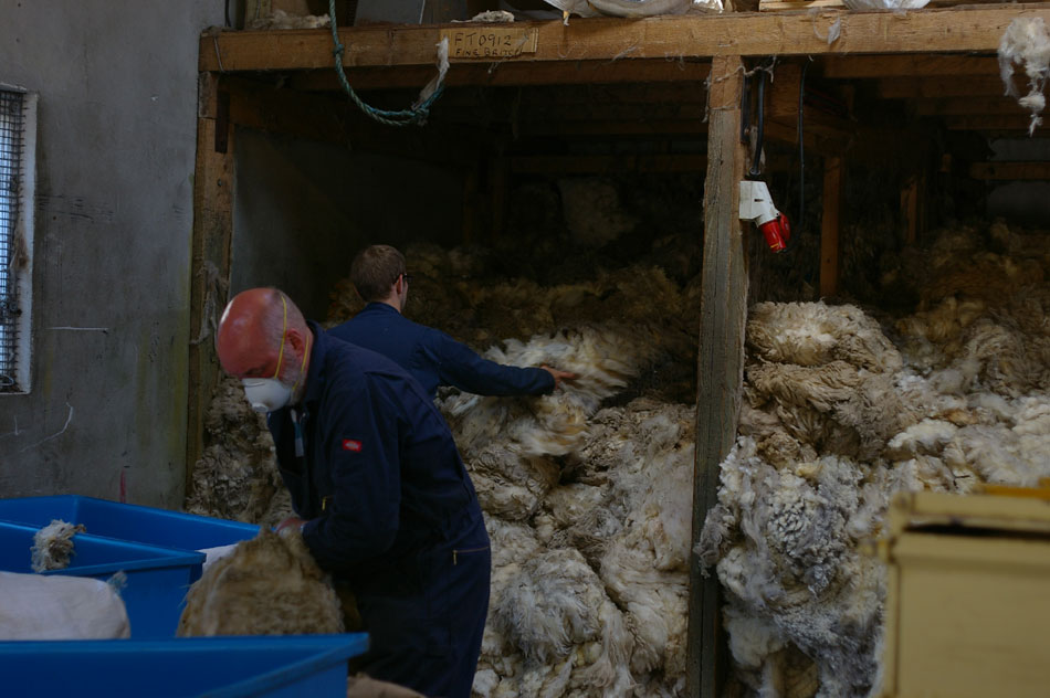 wool-sorting