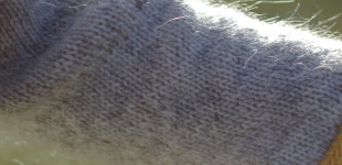 Big Jumpers